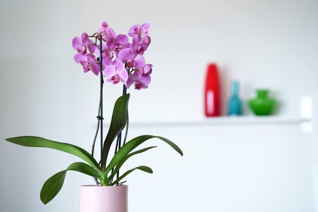 Comfort Style Milano Ngoại thất bức ảnh